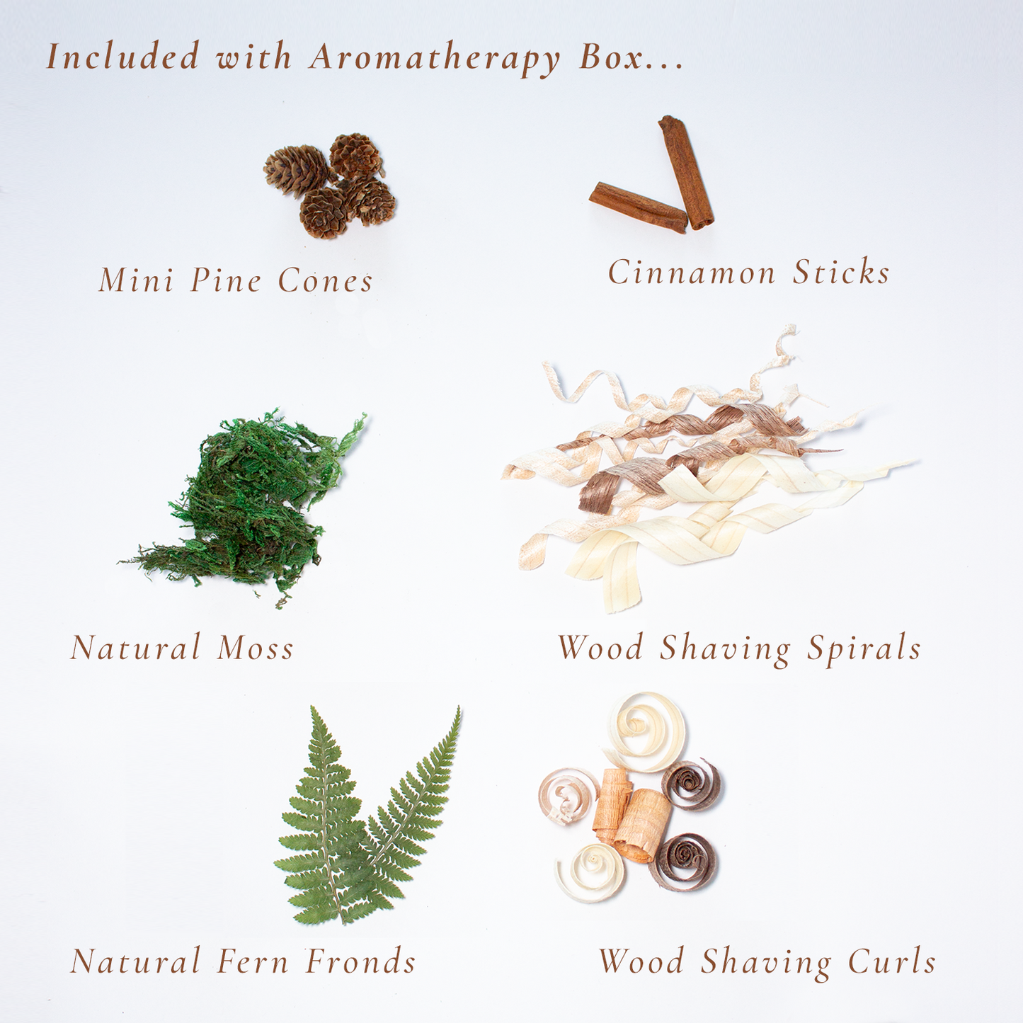 Potpourri Holder with Natural Diffusers