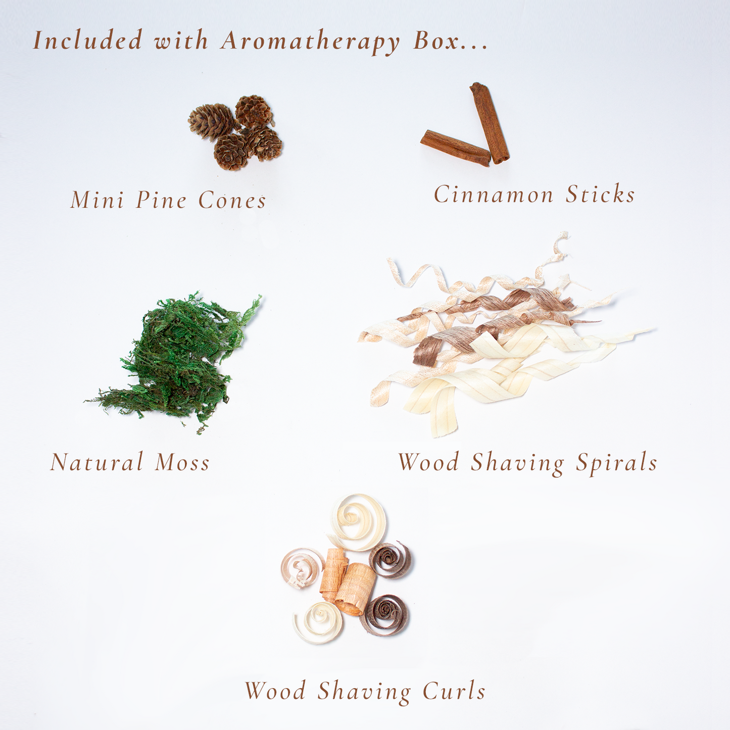 Potpourri Holder with Natural Diffusers